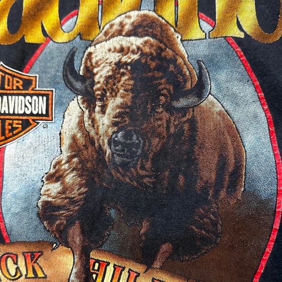 y2k vintage VINTAGE 1993 HARLEY DAVIDSON STURGIS BADLANDS BLACK HILL RALLY - Picture 4 of 8